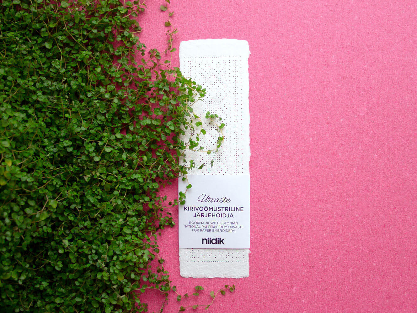 Birodarning siki mushukka kirdi Birodarning siki mushukka kirdi